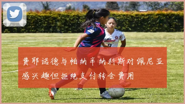 费耶诺德与帕纳辛纳科斯对佩尼亚感兴趣但拒绝支付转会费用